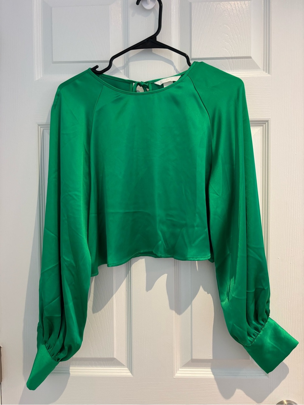 H&M Emerald Satin Long-Sleeve Crop Top